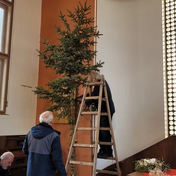 Galerie: Vánoční strom 2025